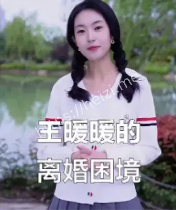 王暖暖离婚案开庭